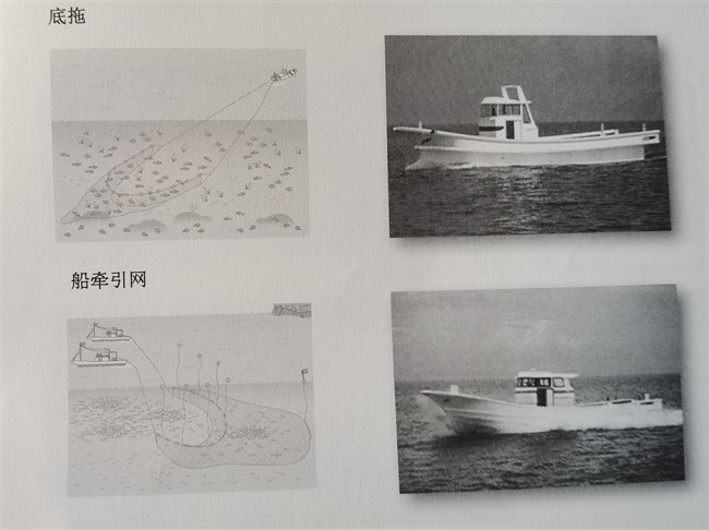 日本的玻璃鋼漁船發(fā)展之路       -4