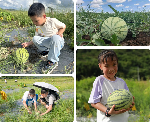 趣游盛夏，一路童行—2024年廣東博皓親子游   -12