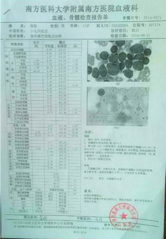 高俊的血液、骨髓檢查報(bào)告單